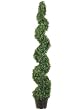 5' Knock-down Pond Boxwood Spiral Topiary in Plastic Pot Green