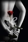 Produkt-Bild: Secret Rose - Poster - Black & White colourlight + &Uuml;-Poster