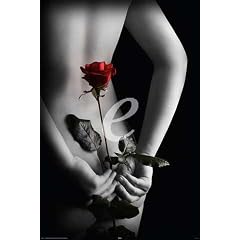 Secret Rose - Poster - Black & White colourlight + �-Poster