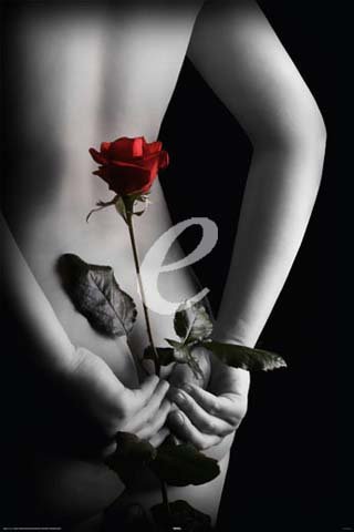 Produkt-Bild: Secret Rose - Poster - Black & White colourlight + &Uuml;-Poster