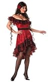 Super Deluxe Spicy Senorita Costume