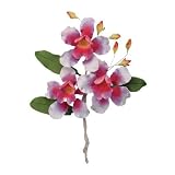 Butterfly Orchid Spray Fondant Gum Paste 5-3/4