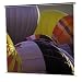 Dalite Class-mate Square Format 50 X 50 Inch Matte White Projection Screen