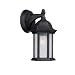 Capital Lighting Main Street 1-Light Outdoor Wall Lantern