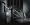 Dyson DC25 Animal  Lightweight Dyson Ball Upright Vacuum Cleaner for Pet Owners