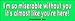 I'm So Miserable Without You - Funny Bumper Stickers (Large 14x4 inches)