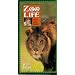 Zoo Life with Jack Hanna: Wild Safari