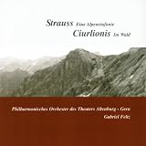 Eine Alpensinfonie (An Alpine Symphony), Op. 64, TrV 233: Der Anstieg (The Ascent) -