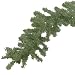 Canadian Pine Branch Garland (99680)