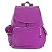 Kipling Ravier
