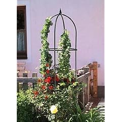 Windhager Obelisk Dekorative Rankhilfe Rosengitter