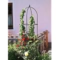 Windhager Obelisk Dekorative Rankhilfe Rosengitter