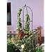 Windhager Obelisk Dekorative Rankhilfe Rosengitter