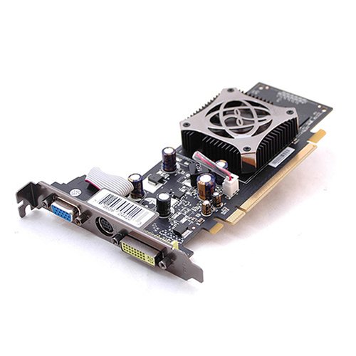 : XFX 8400GS 256MB nVidia PCI Express Graphics Card
