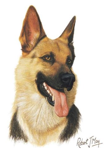 German Shepherd Garden Flag