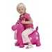 H�pfpferd Sunshine von John