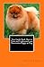 41oWJ36ChBL. SL75  Knowing Dog Pomeranian Temperament