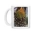 Photo Mugs of DAD-1865 Canary Island date palm - Endemic to the Canary Isles from Ardea Wildlife Pets