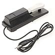 casio keyboard sustain pedal
