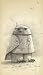 Shaun Tan Notebook - Snow Owl