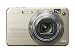 .Sony Cyber-shot W170 Digital Camera - Gold (10.1MP, 5x Optical Zoom) 2.7" LCD