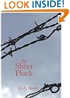 By Sheer Pluck: A Tale of the Ashanti War