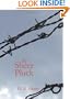 By Sheer Pluck: A Tale of the Ashanti War