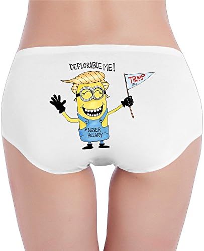 WeKiLa Womens Deplorable Me Low Rise Brief Underwear White