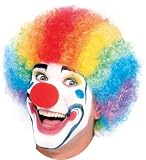 MultiColor Clown Wig