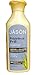 JASON NATURAL COSMETICS Fragrance Free Daily Shampoo, 16 FZ
