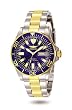 Invicta Sapphire Automatic Diver