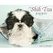 shih_tzu3shih tzu - Just Shih Tzu Puppies 2010 Wall Calendar