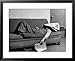 Writer Niven Busch Lying on Sofa with Newspaper over His Face as He Takes Nap from Screenwriting Framed Art Poster Print by Paul Dorsey, 31x25