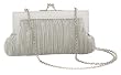 La Regale Mini Pleated Clutch