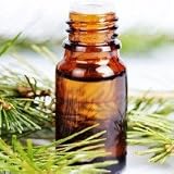 Dune Grass Type home fragrance oil 15ml 41oXqBHffHL. SL160 Dune Grass Type home fragrance oil 15ml