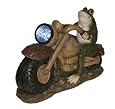 Solar LED Light Garden Frog on Motorcycle