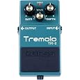 Boss TR-2
