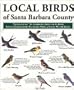 Local Birds of Santa Barbara County