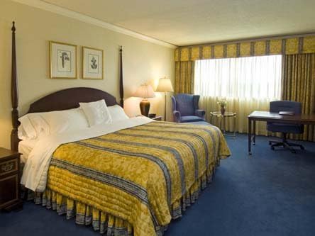 50% Goose Down/50% Goose Feather King 2-Pillow Set - Formerly Featured in Many Sheraton Hotels