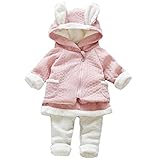 (ベビリッチ)BEBIRICH 裏起毛 キッズ セットアップ パーカー 上下セット うさ耳 女の子 スカート タイツ beaa031 (90cmpi)