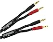 Monster Cable SP1000 Speaker Cable Dual Banana, 10 Foot