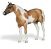 Banjo - Buckskin Paint