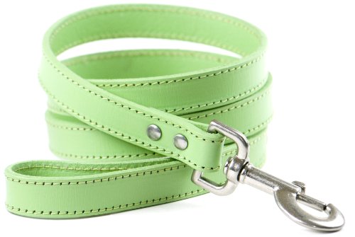 the dog collar company