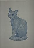 The love of cats