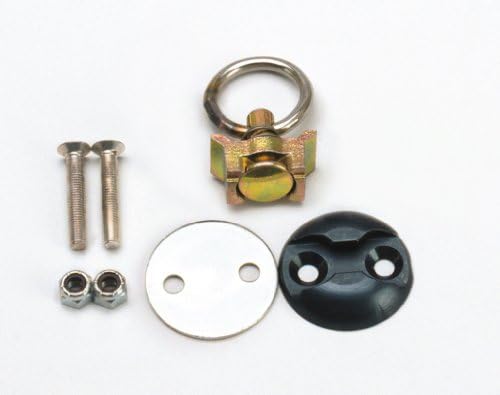 Ancra Tiedowns Secur-it 3,000 lb. Capacity 40890-10 Tie Down - 4 Pack