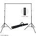 Linco Lincostore Photo Backdrop Stand 9x10 ft Heavy Duty Photography Background Support System Kit 4164