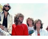  : BEE GEES 8X10 COLOR PHOTO