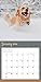 2016 Golden Retrievers Wall Calendar