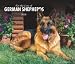 For the Love of German Shepherds 2008 Deluxe Wall Calendar