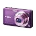 SONY �f�W�^���J���� Cybershot WX5 (1220����fCMOS/���wx5) �o�C�I���b�g DSC-WX5/V